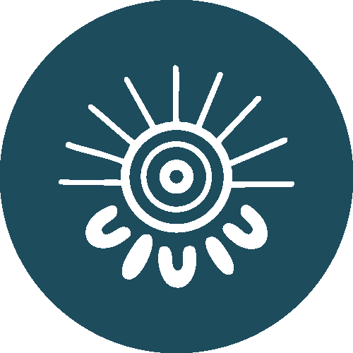 Research and Evaluation