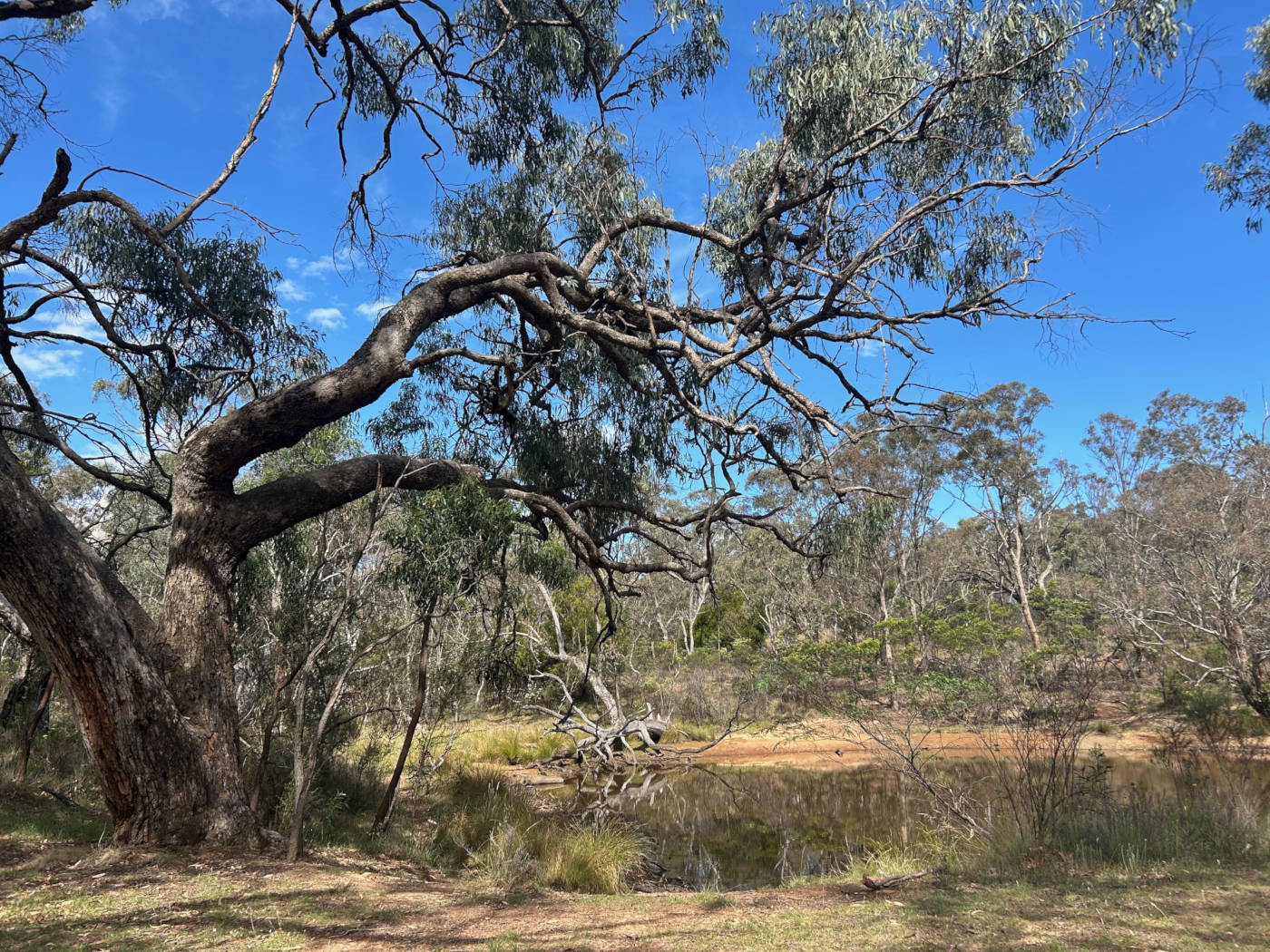 Murra Indigenous Business Program Graduates