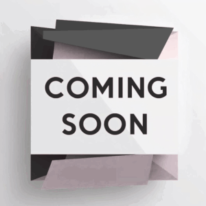 RISE Casework Program 12 Modules (Under 10 Seats) June Cohort